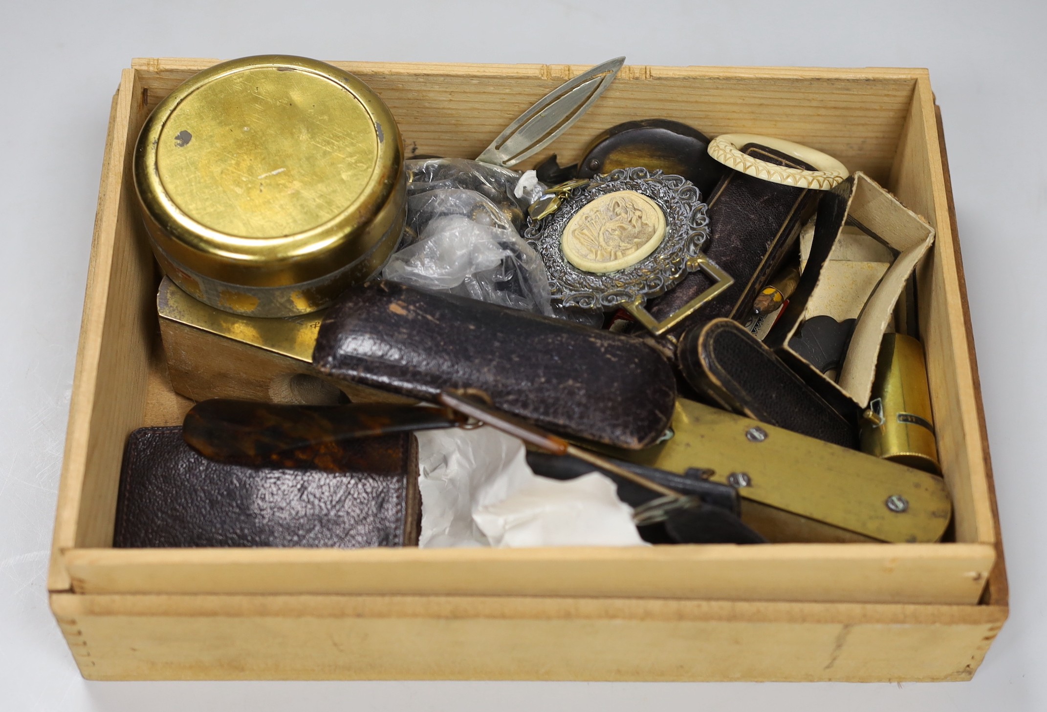 A collection of various curiosities